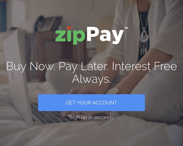 Zippay Is Back Up! - Jtoys