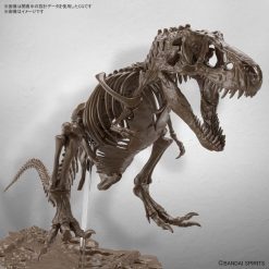 Imaginary Skeleton Tyrannosaurus 1-32 Scale Model Kit-3-Jtoys