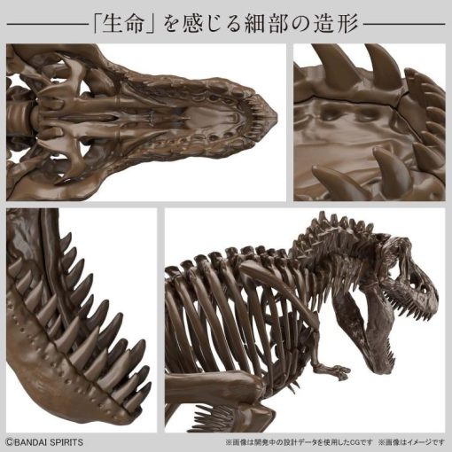 Imaginary Skeleton Tyrannosaurus 1-32 Scale Model Kit-5-Jtoys
