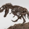 Imaginary Skeleton Tyrannosaurus 1-32 Scale Model Kit-1-JToys