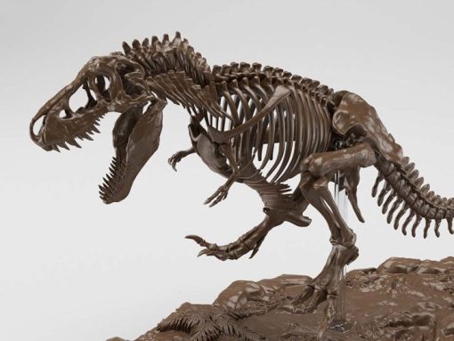 Imaginary Skeleton Tyrannosaurus 1-32 Scale Model Kit-1-Jtoys