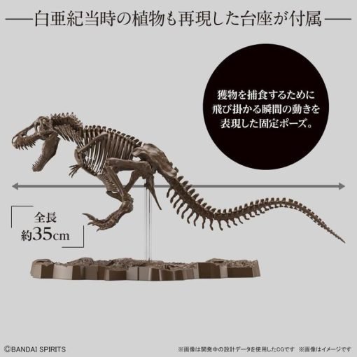 Imaginary Skeleton Tyrannosaurus 1-32 Scale Model Kit-4-Jtoys