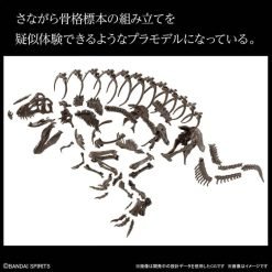 Imaginary Skeleton Tyrannosaurus 1-32 Scale Model Kit-6-Jtoys
