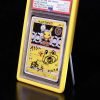 COLOUR PSA Card Holder Display Assorted