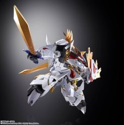Metal Build Dragon Scale Ryuoumaru-5-Jtoys
