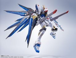 Metal Robot Spirits Strike Freedom Gundam Recoordinate-6-Jtoys